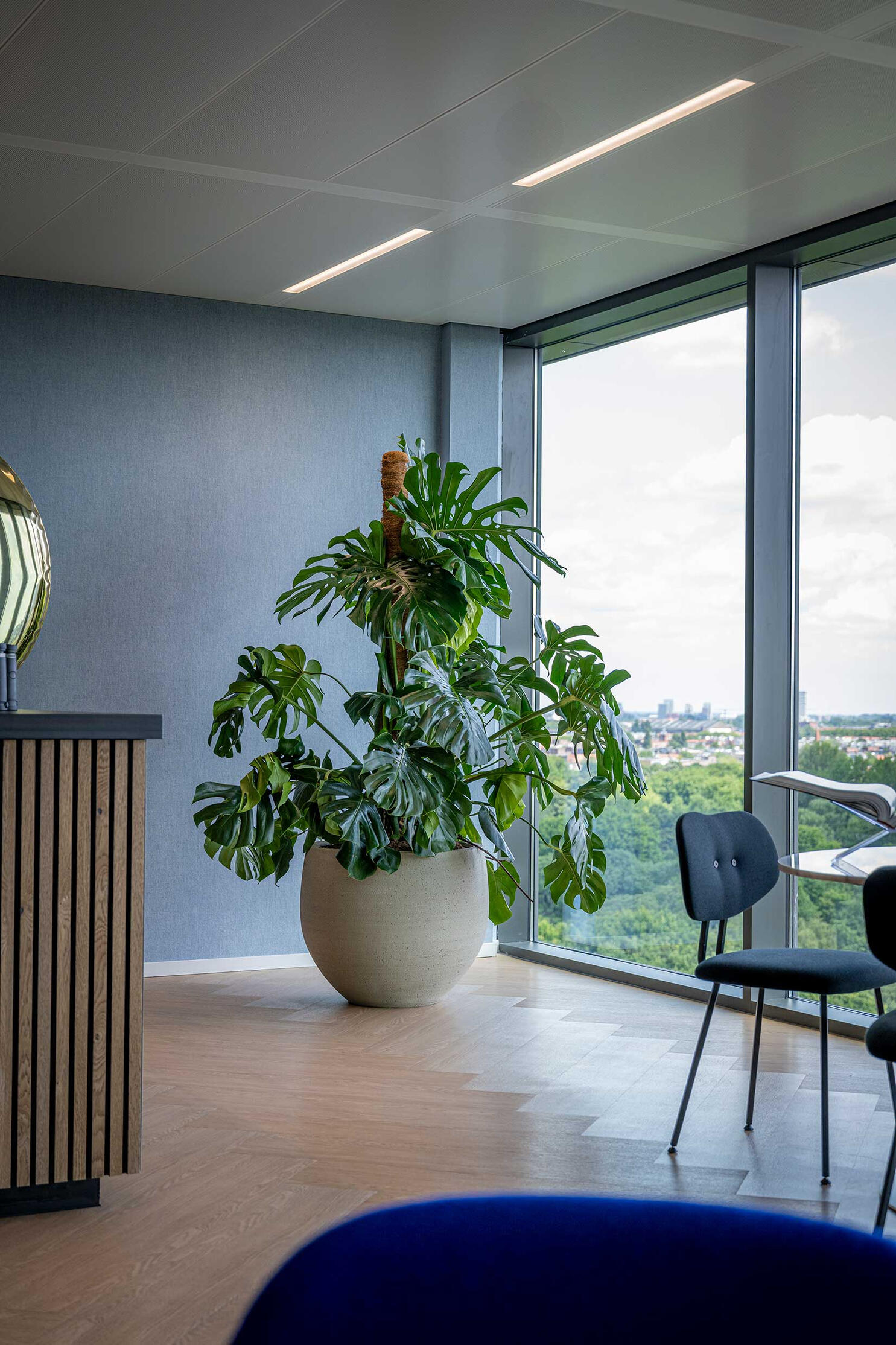 Professionelle Objektbegrünung, Mietpflanzen Berlin Nachhaltige Bürobegrünung Berlin