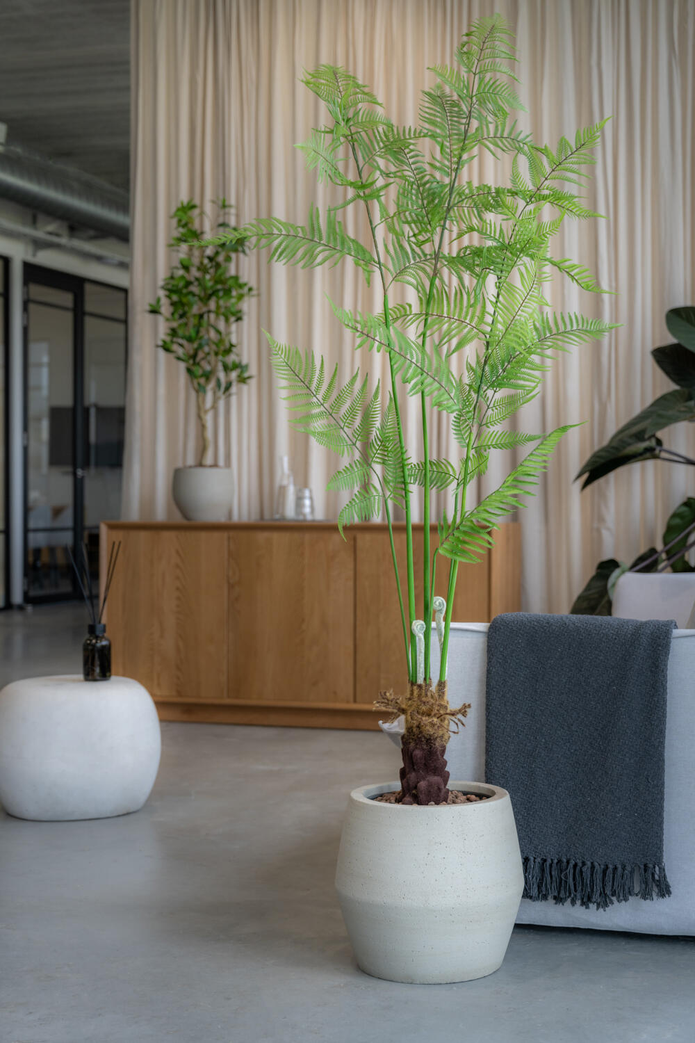 Gruenpflege Berlin Potsdam Pflanzenexperte